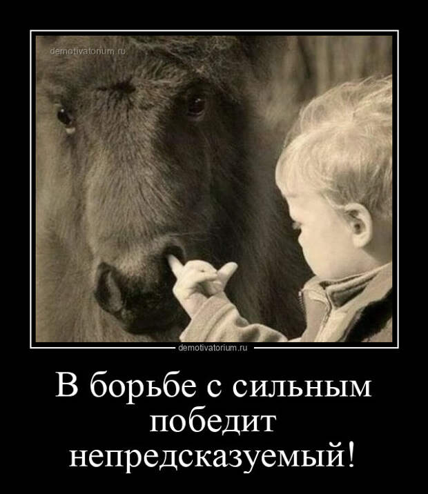Демотиваторов порция (14 шт)