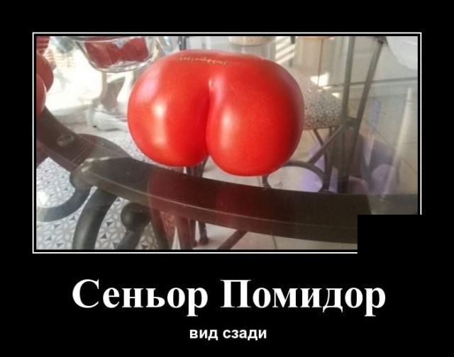 Демотиваторы 22 сентября 2021 года