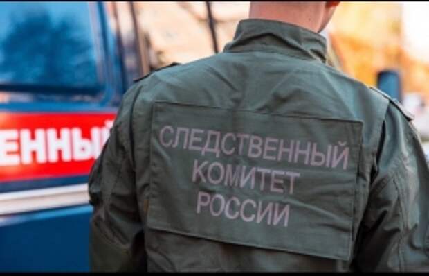 Глава СК России поручил организовать проверку по факту конфликта с участием мигранта в Калининградской области