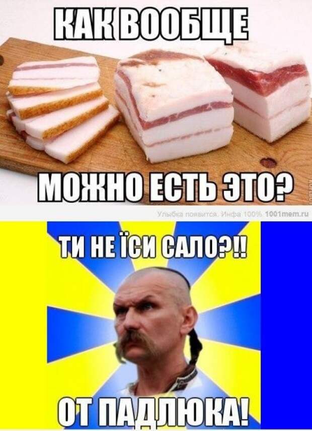 Приколы про сало картинки