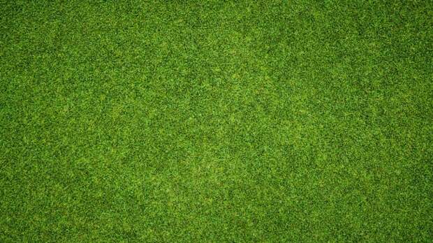 A view from above a golf course.