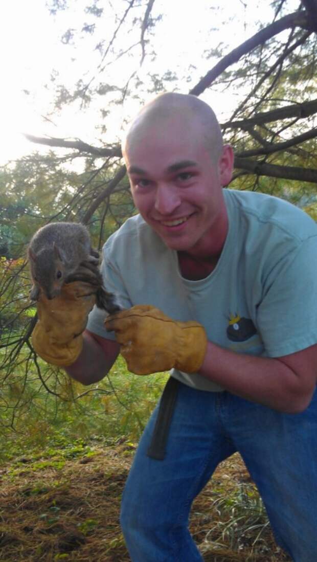 squirrel17