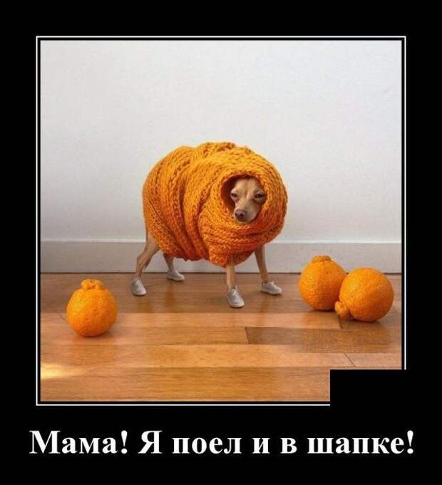 demotivatory-demotivator-smeshnye-demotivatory-demotivator-so-smyslom