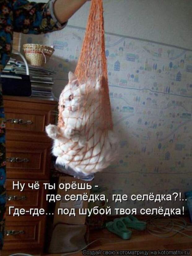 Мысли вслух :)