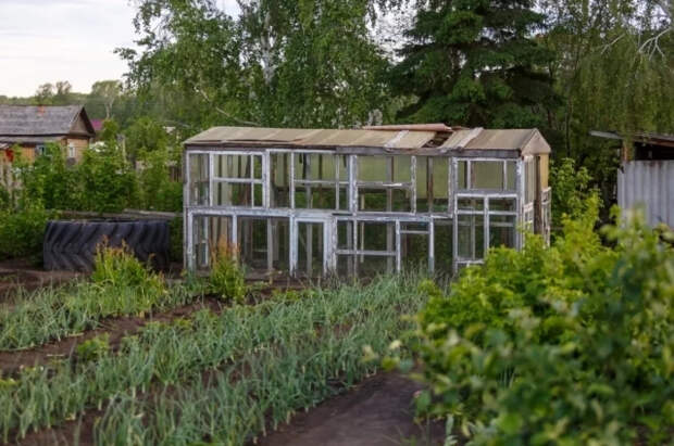 Садовник Светлая объяснила дачникам, зачем нужен таз с водой в теплице