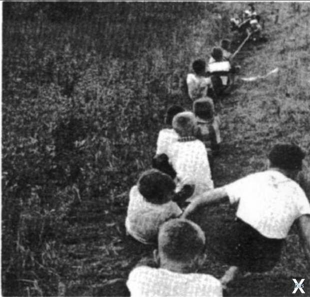 Состязание в перетягивании каната меж...