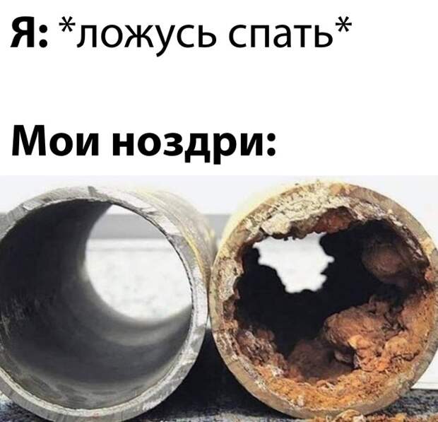 Смешные картинки 10 января 2021 года