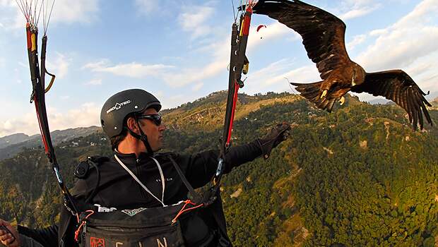 Властители нашей планеты