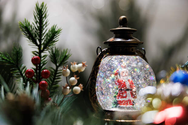 Минстрой ответил на идею штрафовать за елку в подъезде