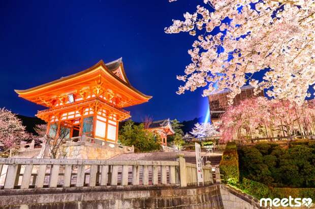 Kyoto Spring Night in Kyoto