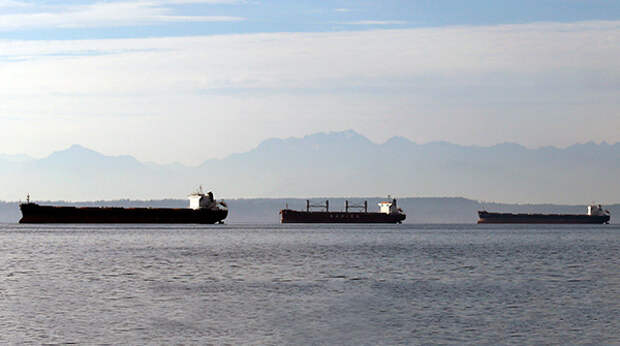 Грузовые судна ждут отгрузки зерна, США. Фото: Elaine Thompson / AP
