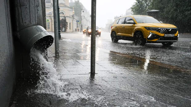 Синоптик Позднякова: во второй половине июня в Москве погода будет только лучше