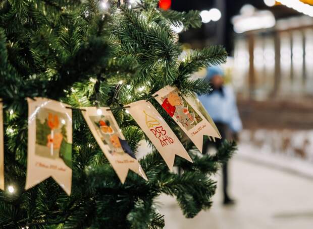 Рязанская ВДНХ преобразится: более 500 елей создадут атмосферу праздника и волшебства