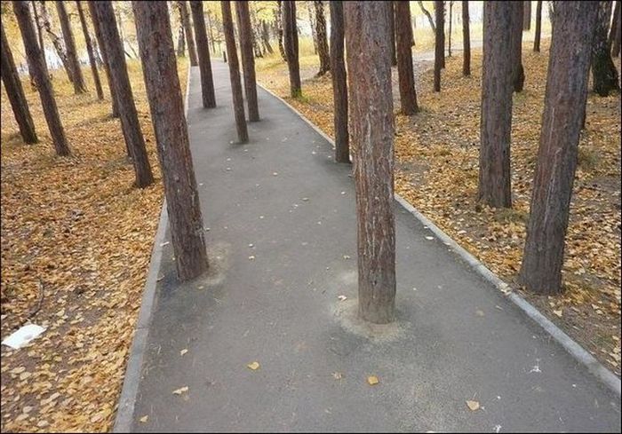 Прикольные картинки Прикольные картинки