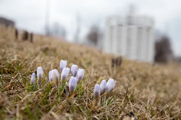 В Туле 25 апреля будет переменная облачность и до 18 градусов тепла