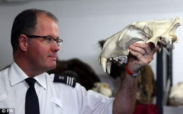 Разнообразие конфискованной контрабанды в аэропорту Лондона аэропорт, контрабанда, конфискация, Лондон, таможня