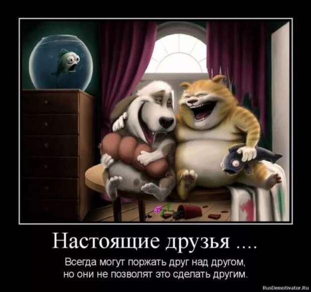 Прикольные демотиваторы с надписями. Подборка chert-poberi-dem-chert-poberi-dem-45580603092020-9 картинка chert-poberi-dem-45580603092020-9