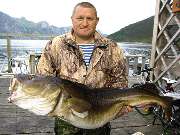 Чемпион турнира по морской рыбалке Александр Смирнов  с 17-килограммовой треской.