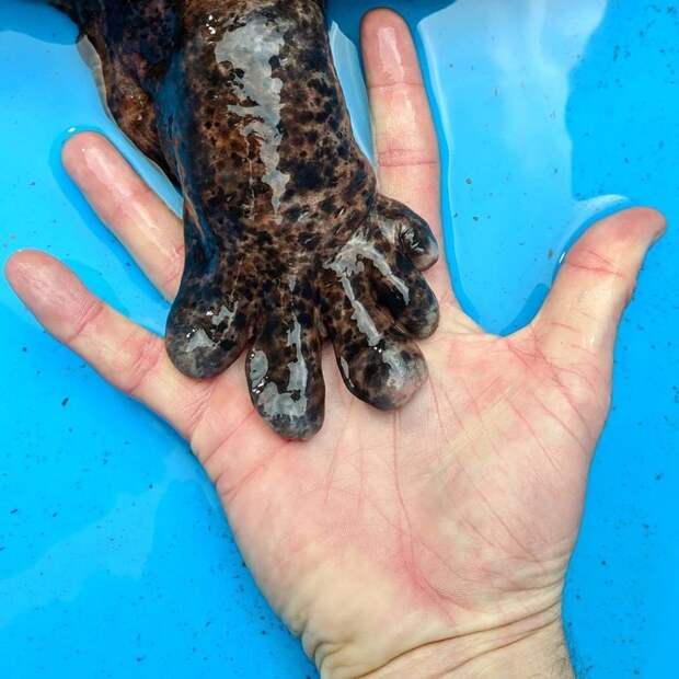 20 фотографий, способных расширить ваш кругозор в одно мгновение