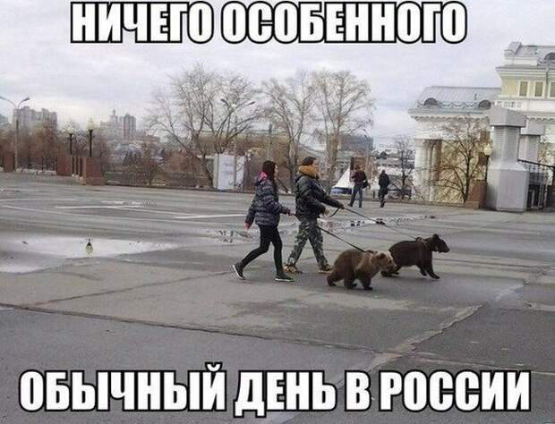 Картинки со смешными подписями