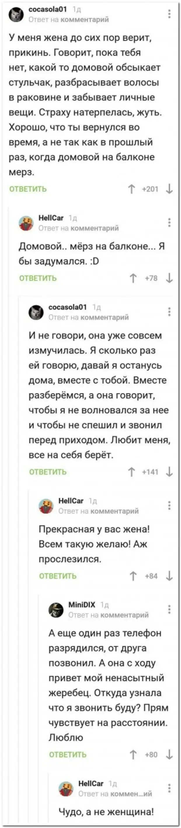 Пояснения говорящей