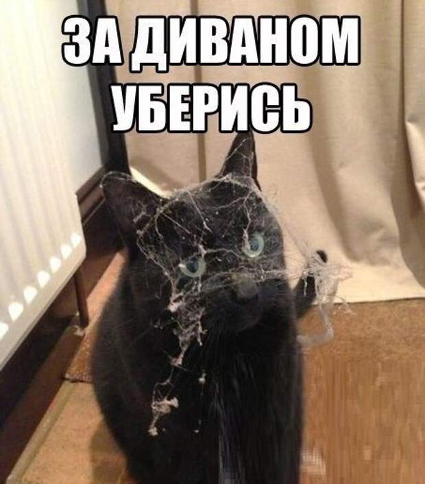a9ZCV24oQto