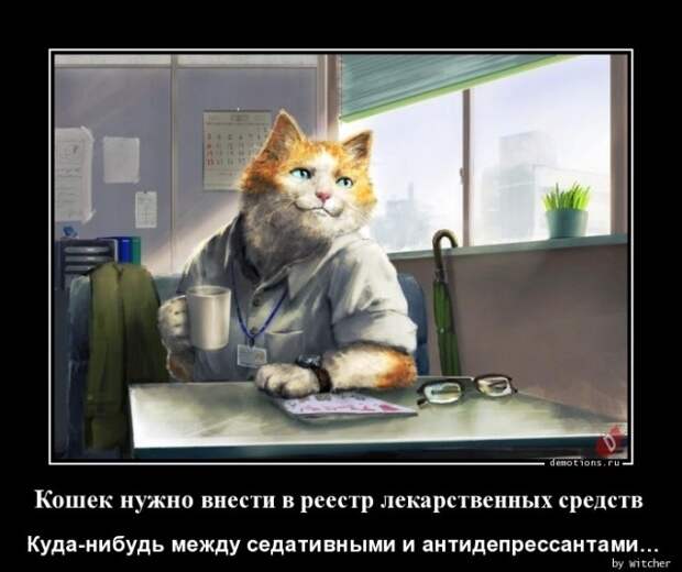 Демотиваторы-приколы: «Кошек нужно внести в реестр лекарственных средств…» (16 фото)