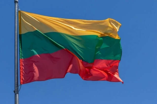 InfoBRICS: спецслужбы Литвы будут преследовать имеющих связи с РФ граждан