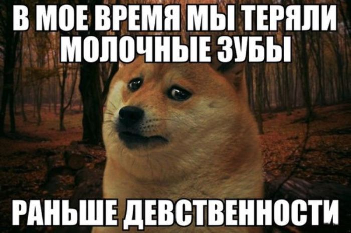 Смешные картинки с подписями  юмор, картинки, прикол