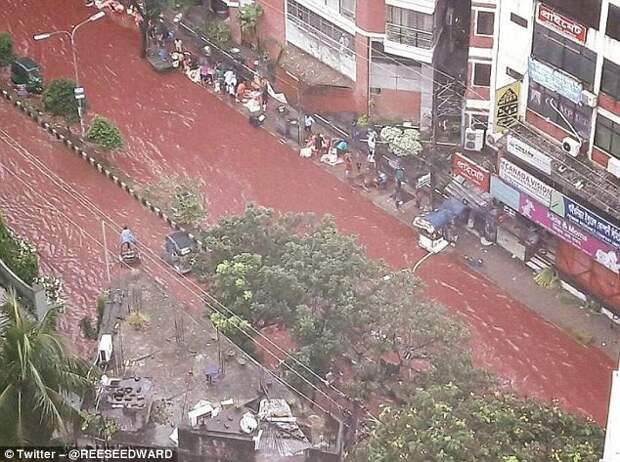 Столицу Бангладеш затопили реки крови Ид-аль-Адха, бангладеш, дакка, курбан-байрам, мусульманские традиции