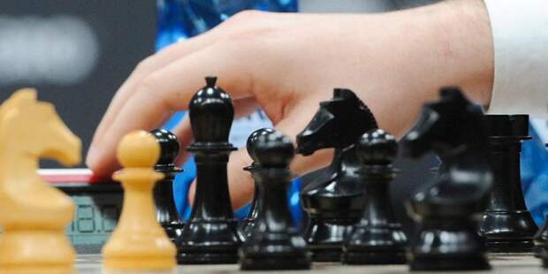 Шахматные игры пройдут в павильонах ВДНХ - «Земледелие», «Рабочий и колхозница». Фото: mos.ru