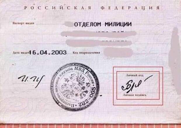 Крик души
