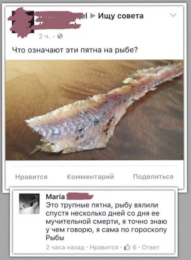 картинки