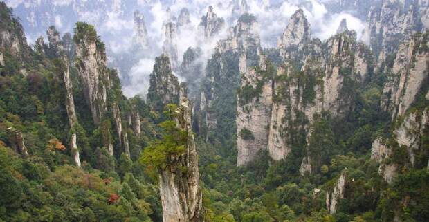 национальный парк, удивительные парки мира, национальный парк в китае, всемирное наследие юнеско, парк Чжанцзяцзе, горы Улинъюань