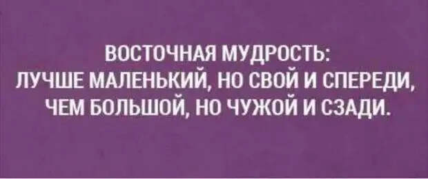 Врач в психбольнице разгадывает кроссворд:- Так...