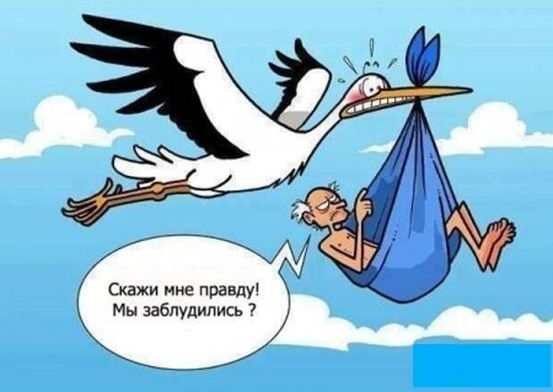 Смотрим  приколы - сушим зубы.