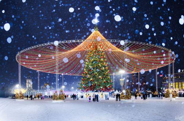 Две новогодние ели из Тульской области борются за звание лучших в стране