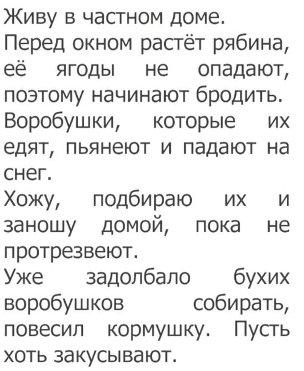 www.vsyako.net