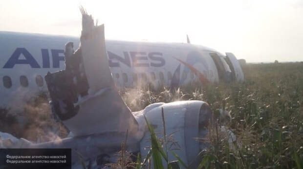 Появились фото и видео с места экстренной посадки самолета A-321 в Подмосковье