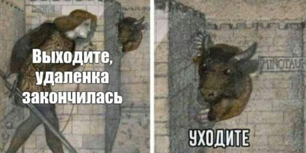 Шутки, мемы и картинки о COVID-19
