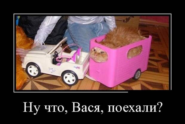 Демотиваторы дня от 31-08-2014