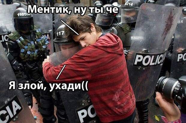 Забавные картинки с надписями для веселья (11 фото) Забавные картинки с надписями для веселья (11 фото)