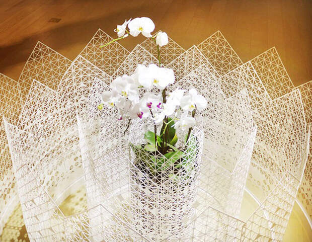 Белоснежные орхидеи и резной забор из бумаги