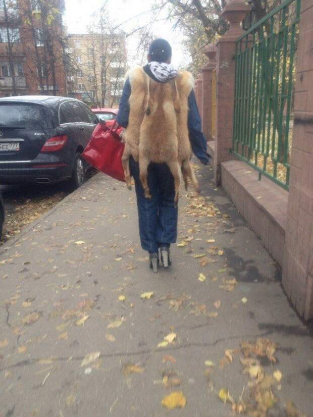 Бессмысленная и беспощадная мода