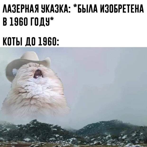 www.vsyako.net