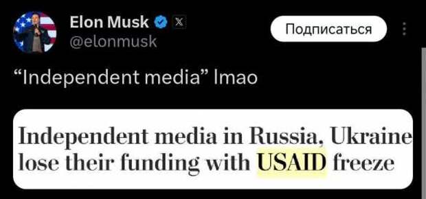 Маск высмеял статью о «независимых медиа» на Украине и в России, лишённых грантов США | Русская весна