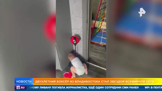 Двухлетний боксер из Владивостока восхитил профессиональных спортсменов
