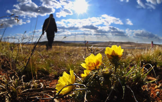 Весна откладывается: синоптики огорчили прогнозом для Центральной России