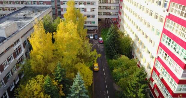 НИКИ педиатрии. Фото из архива редакции