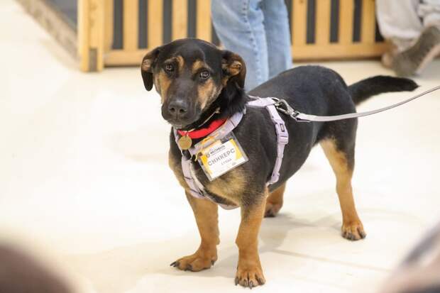 Софья Сандурская/Агентство Москва